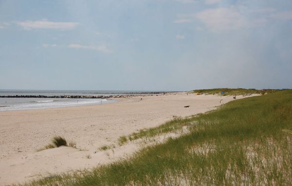 Ferienhaus - Blåvand , Dänemark - P32125 902