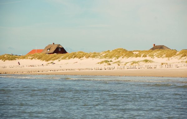 Ferienhaus - Blåvand , Dänemark - P32128 904