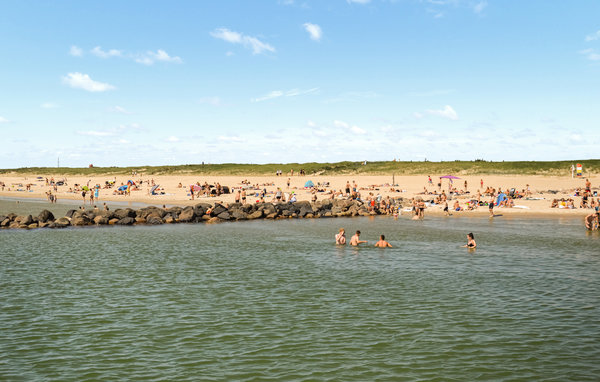 Holiday Home - Blåvand , Denmark - P32154 901