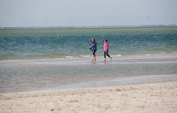 Semesterhus - Blåvand , Danmark - P32306 902