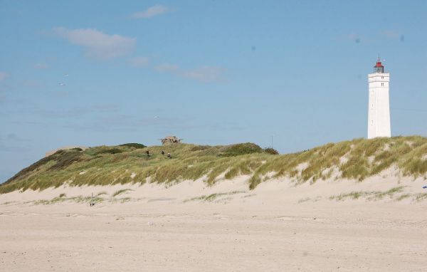 Ferienhaus - Blåvand , Dänemark - P32333 901