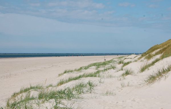 Ferienhaus - Blåvand , Dänemark - P32333 903