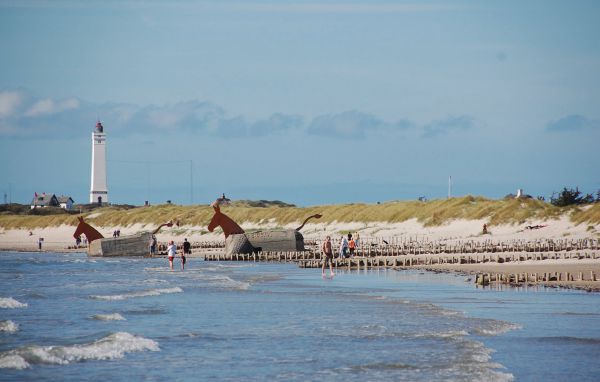 Kuća-za-odmor - Blåvand , Danska - P32383 901