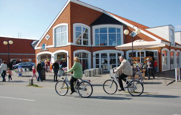 Kuća-za-odmor - Blåvand , Danska - P32383 903