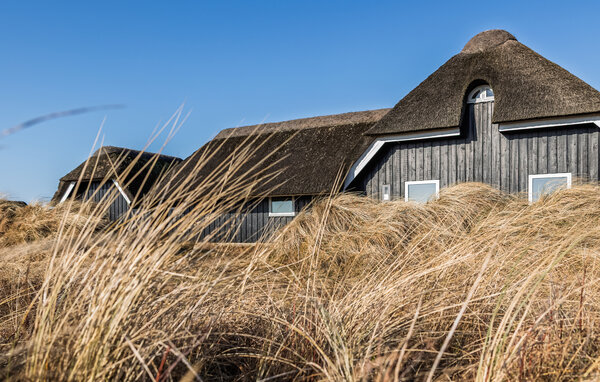 Kuća-za-odmor - Blåvand , Danska - P32421 85