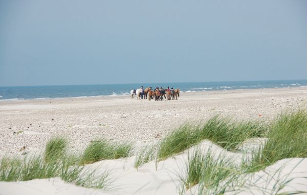 Vakantiehuis 
