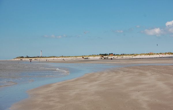 Ferienhaus - Blåvand , Dänemark - P32486 901