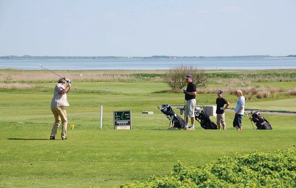 Holiday Home - Ho , Denmark - P32497 901