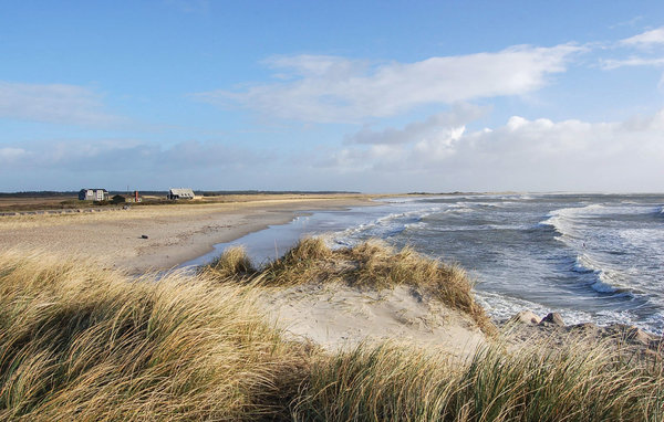 Ferienhaus - Blåvand , Dänemark - P32532 901