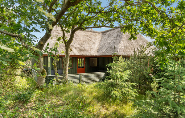 Ferienhaus - Blåvand , Dänemark - P32532 82