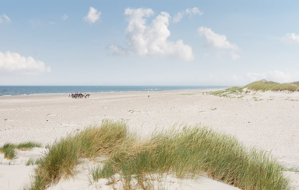 Holiday Home - Ho , Denmark - P32574 901