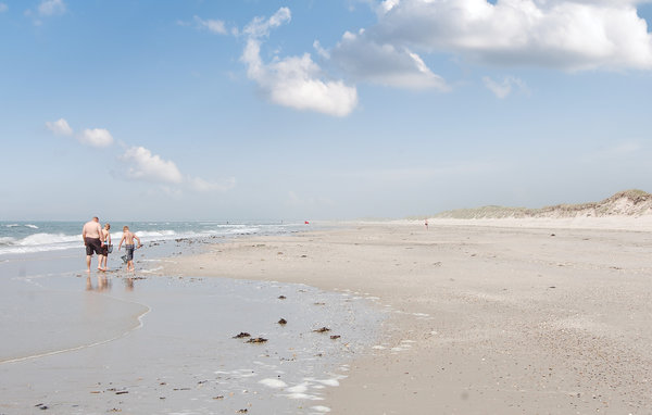 Holiday Home - Ho , Denmark - P32574 902