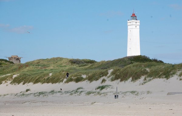 Holiday Home - Blåvand , Denmark - P32577 901
