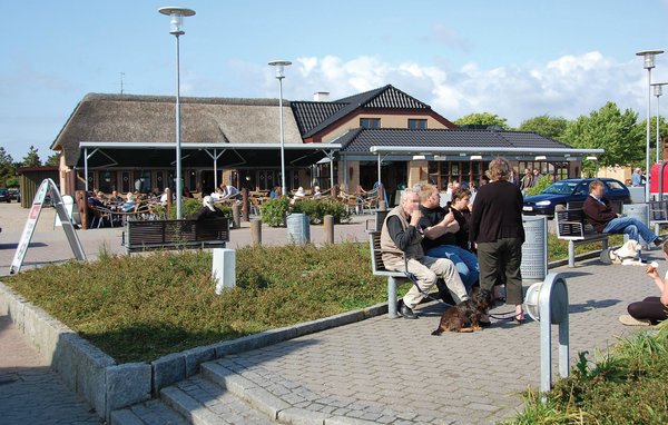 Holiday Home - Blåvand , Denmark - P32577 903