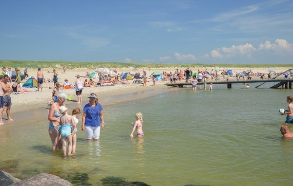 Ferienhaus - Blåvand , Dänemark - P32646 901
