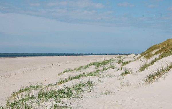 Ferienhaus - Blåvand , Dänemark - P32774 904