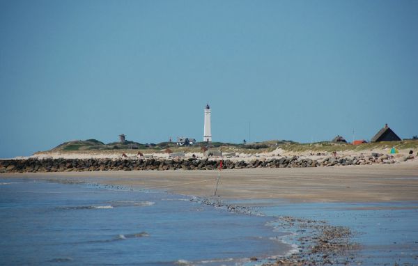 Ferienhaus - Blåvand , Dänemark - P32777 901