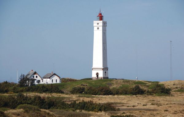 Ferienhaus - Blåvand , Dänemark - P32777 902