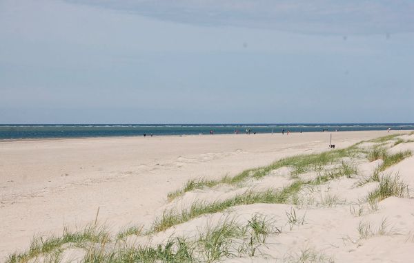 Location de vacances - Blåvand , Danemark - P32830 902