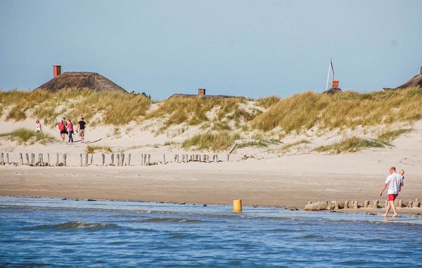 Ferienhaus - Blåvand , Dänemark - P32858 901