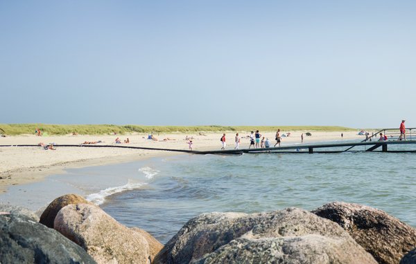 Ferienhaus - Blåvand , Dänemark - P32925 903