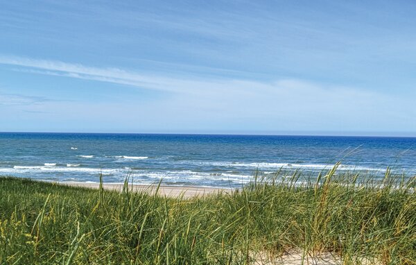 Holiday Home - Ho , Denmark - P32936 903