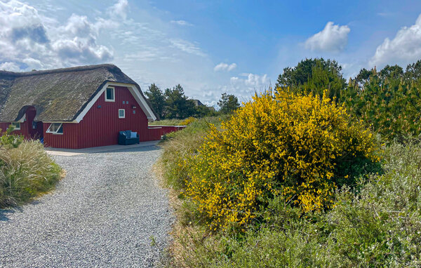 Location de vacances - Blåvand , Danemark - P32970 104