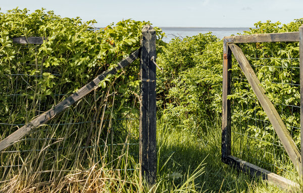 Location de vacances - Sædding , Danemark - P33019 103