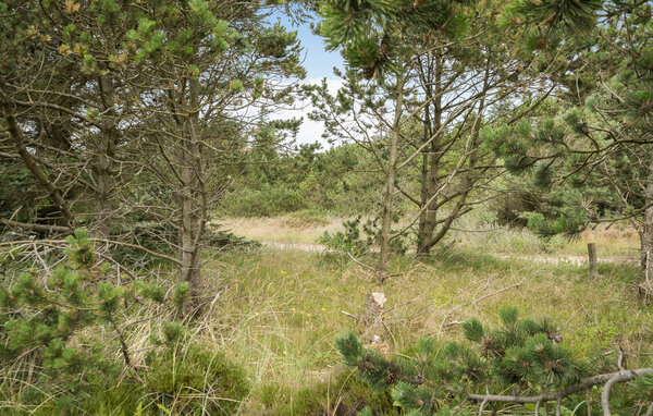 Holiday Home - Blåvand , Denmark - P33046 901