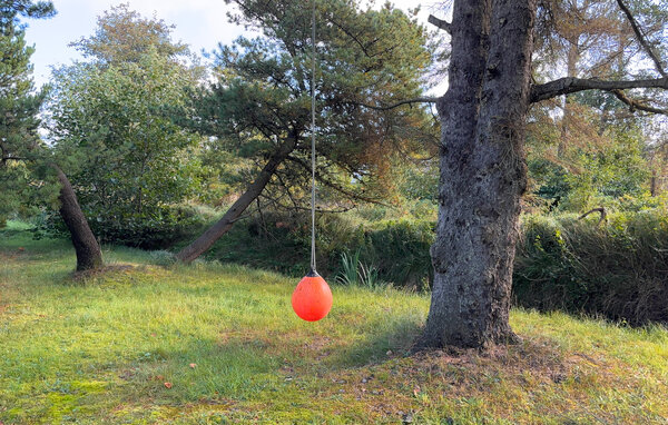 Semesterhus - Blåvand , Danmark - P33061 105