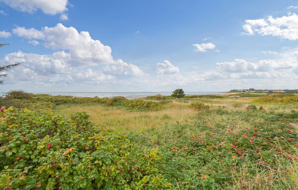 Feriehuse - Sædding , Danmark - P33064 201