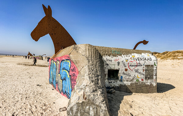 Ferienhaus - Blåvand , Dänemark - P33069 903
