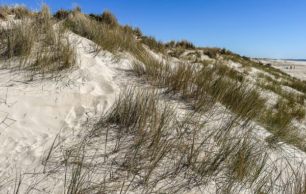 Domy wakacyjne - Blåvand , Dania - P33069 906