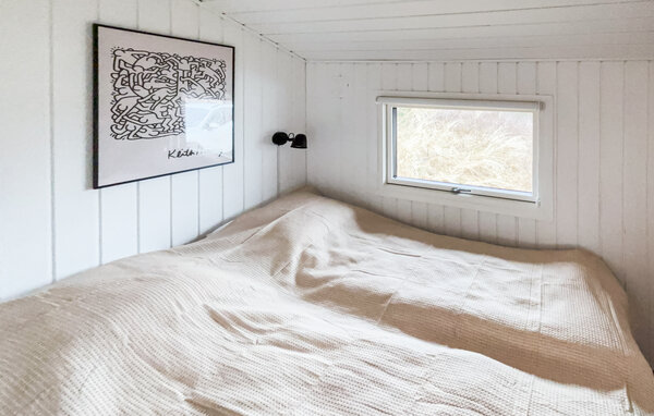 Casa vacanze - Blåvand , Danimarca - P33079 601
