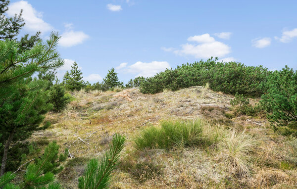 Semesterhus - Blåvand , Danmark - P33081 104