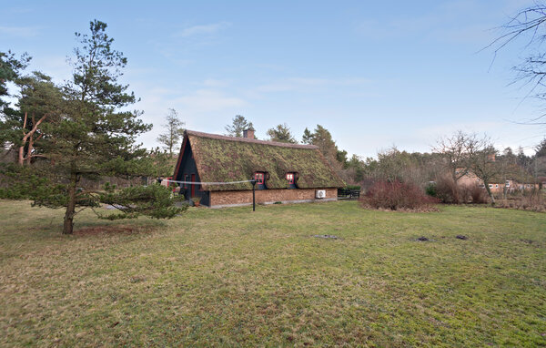 Semesterhus - Henne , Danmark - P42674 2