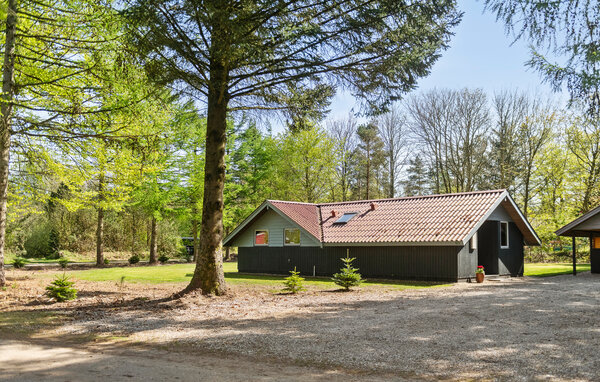 Ferienhaus - Jegum , Dänemark - P42742 8