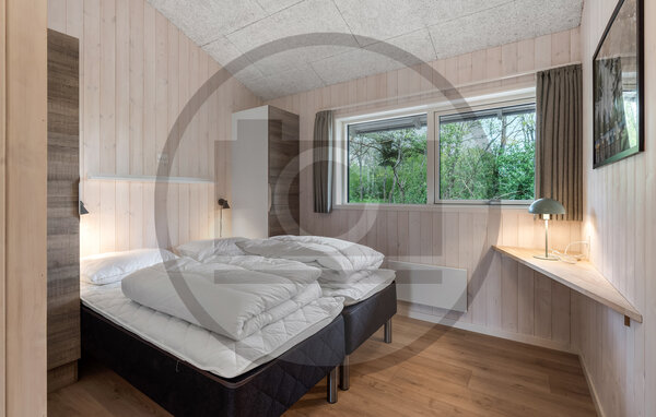 Ferienhaus - Jegum Ferieland , Dänemark - P42770 601