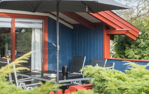 Semesterhus - Bork Havn , Danmark - P52314 8