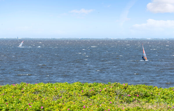 Semesterhus - Skaven Strand , Danmark - P52508 901
