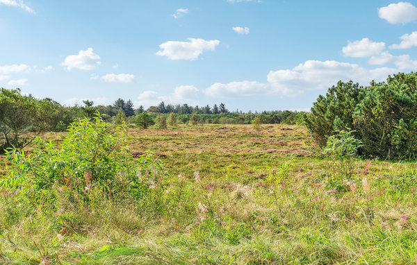 Casa vacanze - Skaven Strand , Danimarca - P52547 106