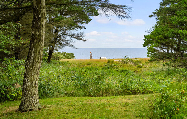Semesterhus - Skaven Strand , Danmark - P52575 2