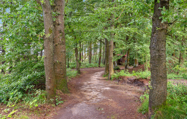 Location de vacances - Lyne , Danemark - P52590 9