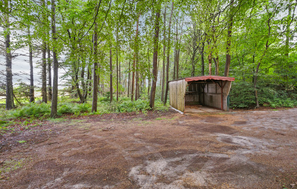 Location de vacances - Lyne , Danemark - P52590 101