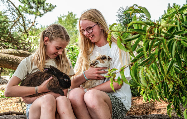 Feriehuse - Nymindegab , Danmark - P52660 902