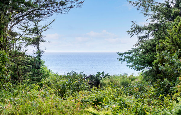 Kuća-za-odmor - Skaven Strand , Danska - P52719 202