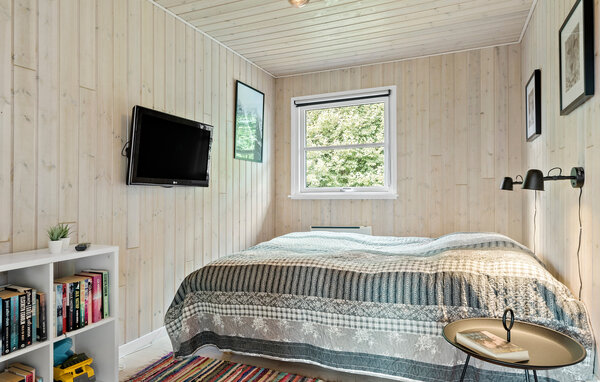 Semesterhus - Skaven Strand , Danmark - P52737 603