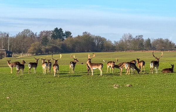 Casa de vacaciones - Skaven Strand , Dinamarca - P52753 902