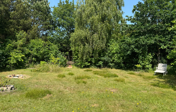 Semesterhus - Skaven Strand , Danmark - P52776 101