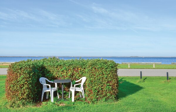 Feriehuse - Bork Havn , Danmark - P52777 8